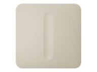 Ivory white