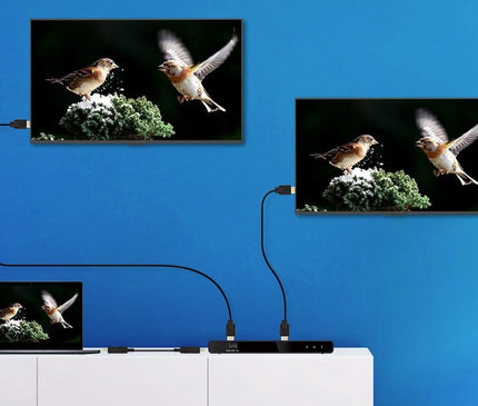 Alarm SystemExpert.de Alarm SystemExpert.de HDMI 2-Port Splitter, 4K 60Hz UHD