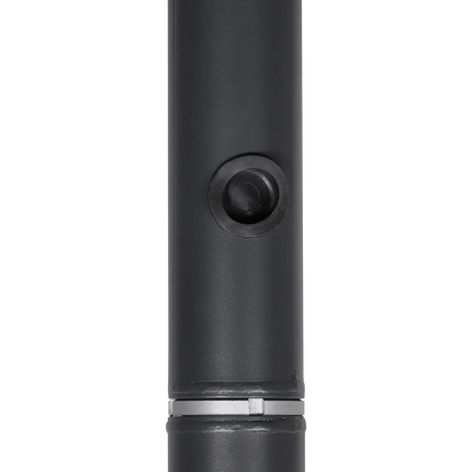 AlarmsystemExpert.co.uk Mât de caméra 4.5m Gris foncé, Acier galvanisé, Paratonnerre