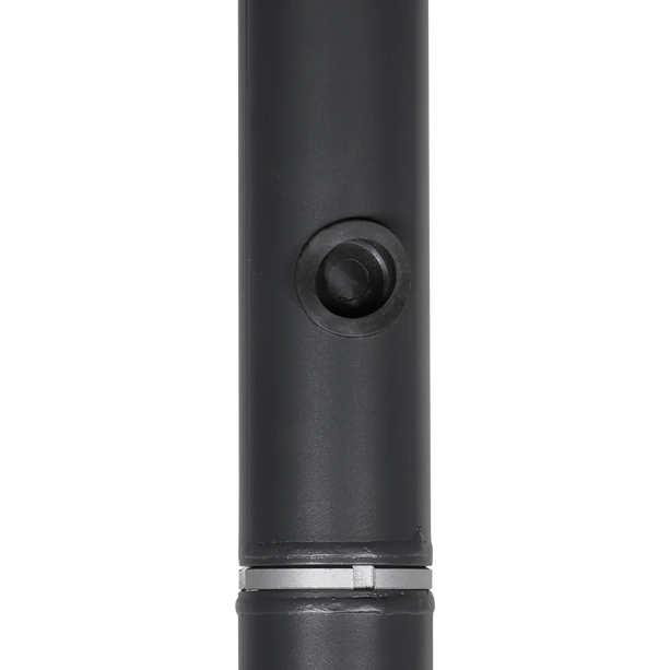 AlarmsysteemExpert.nl Cameramast 6 meter antracietgrijs, Gegalvaniseerd staal, Bliksemafleider