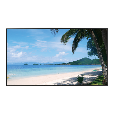 Dahua Dahua LM49-S400 49" 4K monitor