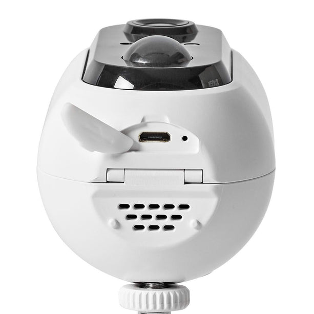 Nedis SmartLife Camera voor Buiten Wi-Fi Full HD IP65 Cloud / MicroSD