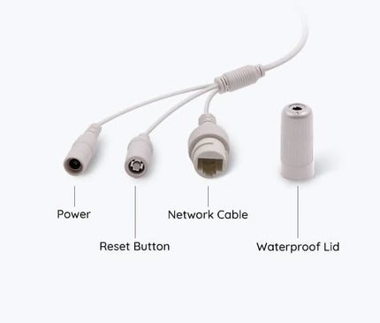Reolink Reolink P334 Revolverkamera, 4K 8 Megapixel POE Smart Erkennung
